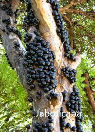 Text_on_Photos_11_11_2022_9_15_59_AM