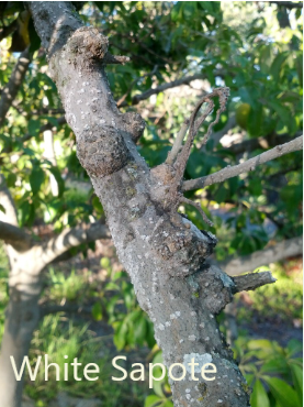 Text_on_Photos_11_11_2022_9_19_21_AM