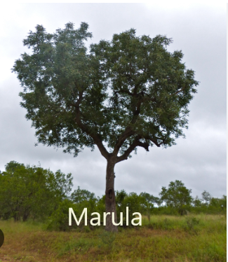 Text_on_Photos_11_11_2022_9_23_37_AM