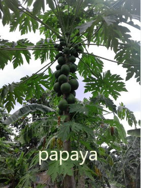 Text_on_Photos_11_11_2022_9_26_32_AM