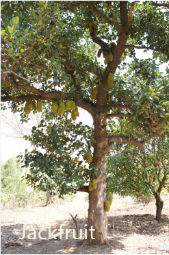 Text_on_Photos_11_11_2022_9_33_24_AM