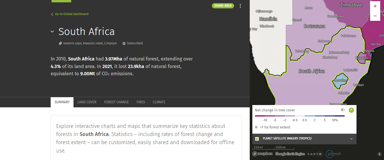 south africa forest watch
