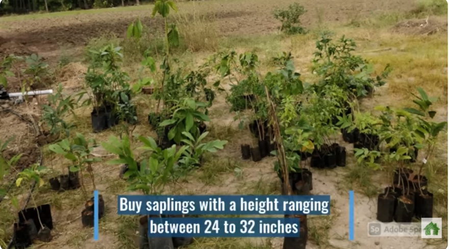 3628D246-5F13-47D0-8C84-96FB5D4B540B