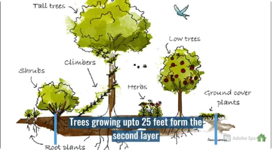 42A94E73-8D4C-4AF2-A25D-F47A574C1ECD