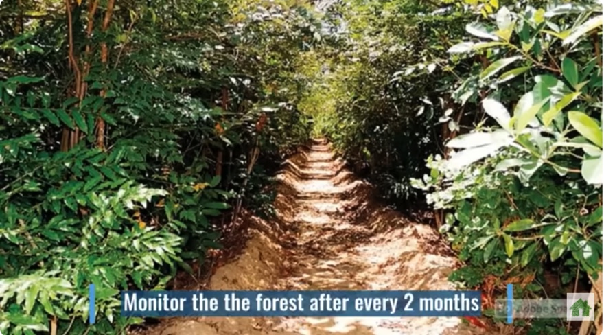 616348D3-4921-4388-81CC-D1BFAEAB23E7