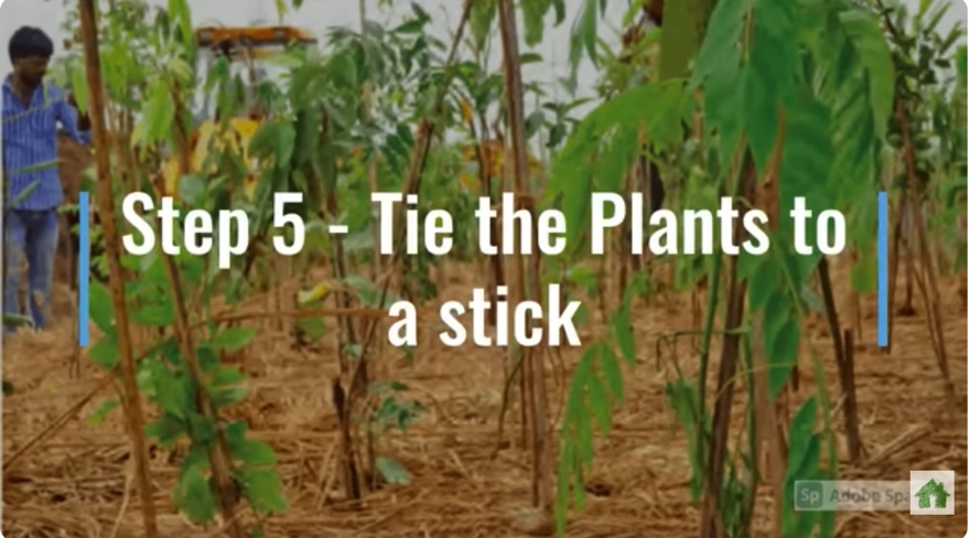 B50DA279-84DF-4B74-97EE-1526B7563E21