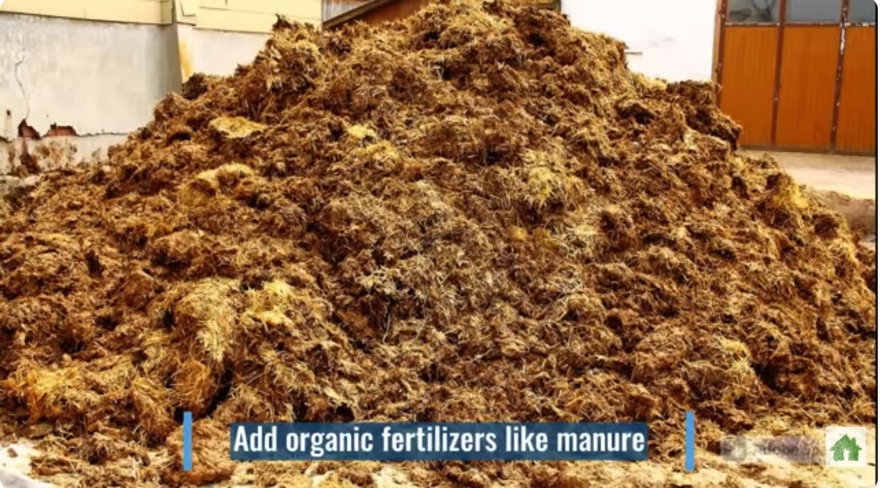 DE31B979-8EBB-4029-994C-0E5F4A16CDF6